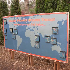 Small Animal Kingdom - Island Signage