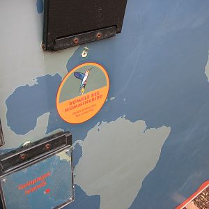 Small Animal Kingdom - Islands Signage