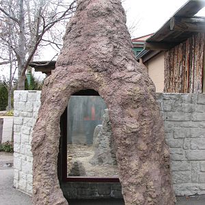 Small Animal Kingdom - Outdoor Meerkat Viewing
