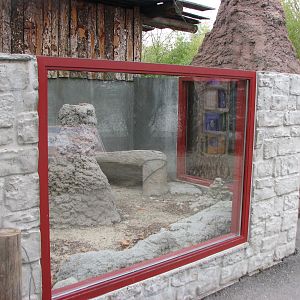 Small Animal Kingdom - Outdoor Meerkat Exhibit