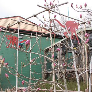 Small Animal Kingdom - Exit