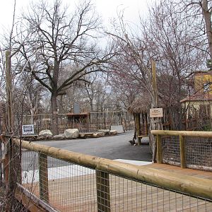 African Plains - Village