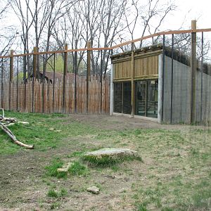 African Plains - Lion Viewing Area (Seen from the Schoolhouse)
