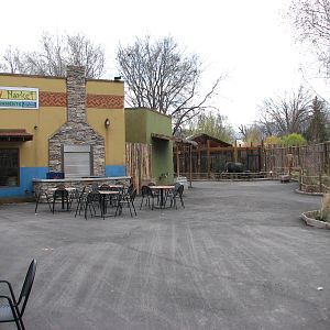 African Plains - Kijiji Market Cafe