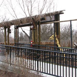 African Plains - Giraffe Viewing Area
