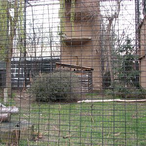 Andean Condor Exhibit