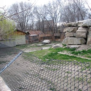 Striped Hyena Exhibit