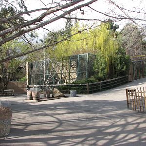 View Towards Amur Leopard Exhibit