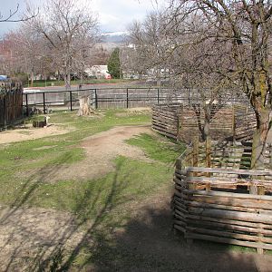 Llama / Sika Deer Exhibit