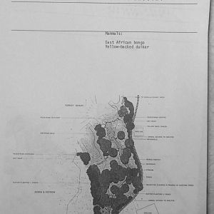 A Guidebook to the Habitats of the Wilds of Africa - 1988 - Forest Habitat