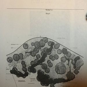 A Guidebook to the Habitats of the Wilds of Africa - 1988 - Okapi Habitat