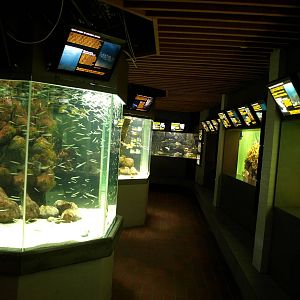 Øresund Aquarium - Aquaria