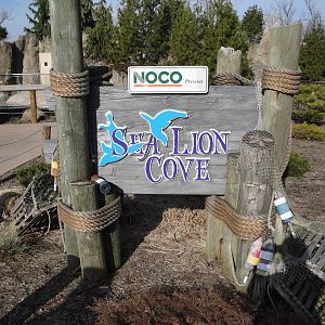 Sea Lion Cove Exhibit
