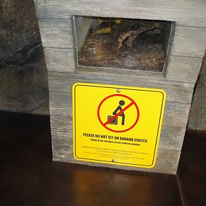 Rainforest Falls - Bird-eating Spider Exhibit