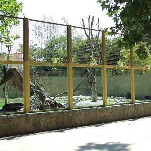Asiatic Black Bear exhibit