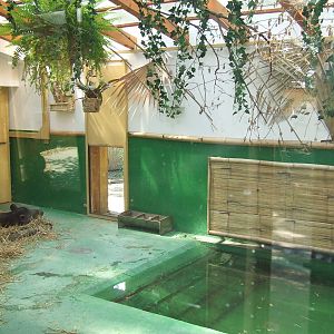 South American Tapir indoor enclosure