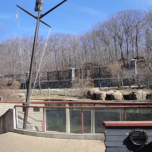 Children's Zoo - Black-footed Penguin Exhibit