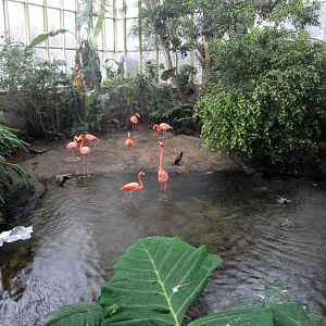 Wetlands - Rainstorm