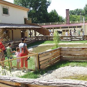 Lesser Flamingo exhibit