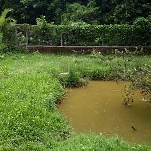Nahampoana - Crocodile enclosure