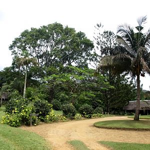 Nahampoana - Office and bungalows