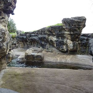 Harbour Seal/California Sea Lion Exhibit