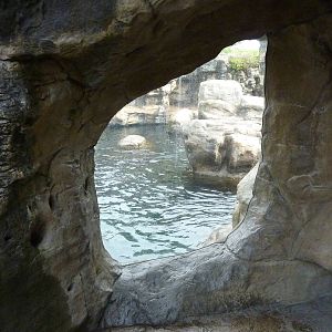 Harbour Seal/California Sea Lion Exhibit