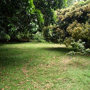 Nahampoana - Tortoise enclosure