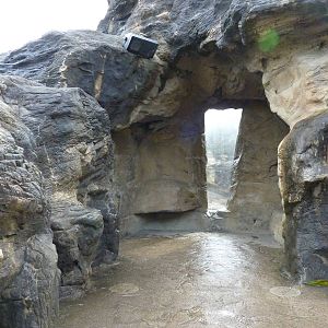 Harbour Seal/California Sea Lion Exhibit