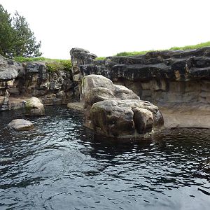 Harbour Seal/California Sea Lion Exhibit