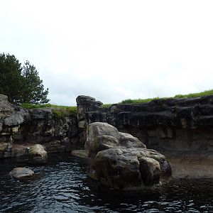 Harbour Seal/California Sea Lion Exhibit