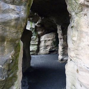 Harbour Seal/California Sea Lion Exhibit - Cave