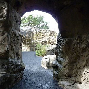 Harbour Seal/California Sea Lion Exhibit - Cave