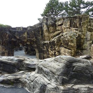 Tide Pool Exhibit