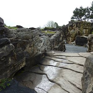 Sea Otter Exhibit - Viewing Platform