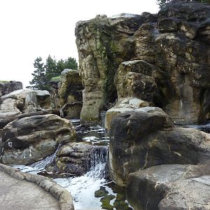 Tide Pool Exhibit