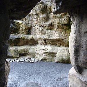 Octopus Viewing Cave