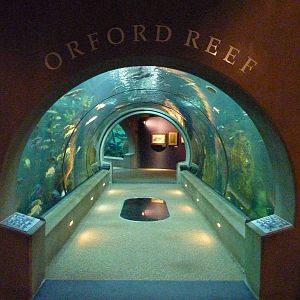 Passages of the Deep - Orford Reef
