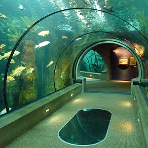 Passages of the Deep - Orford Reef