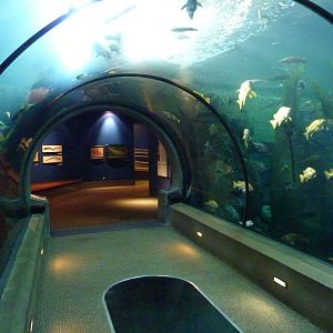 Passages of the Deep - Orford Reef