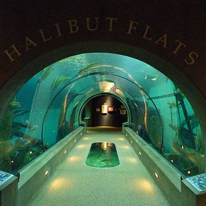Passages of the Deep - Halibut Flats