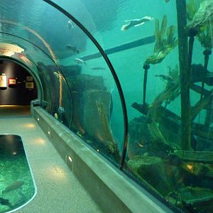 Passages of the Deep - Halibut Flats