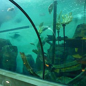 Passages of the Deep - Halibut Flats