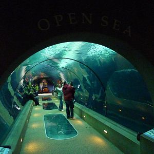 Passages of the Deep - Open Sea