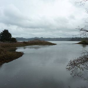 Estuary Lookout Point