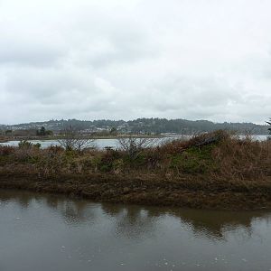 Estuary Lookout Point