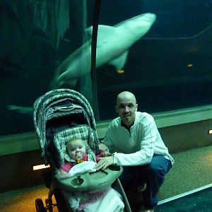 Passages of the Deep - Open Sea