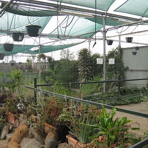 Saltwater Crocodile pool exterior