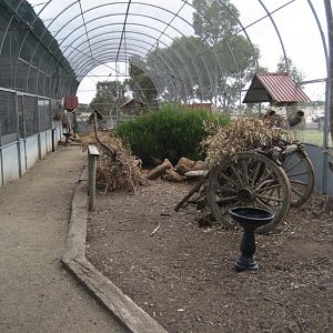 Interior of Arid Walkthrough Aviary