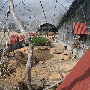 Interior of Arid Walkthrough Aviary